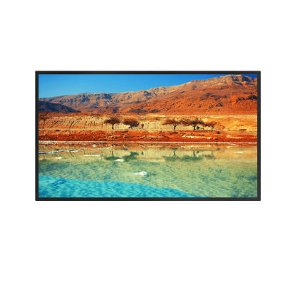 Monitor Dahua 65" 4k UHD LED monitor 178°/178° EXTRA-WIDE