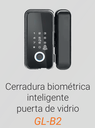 CERRADURA DE PUERTA DE VIDRIO CON CONTROL REMOTO 